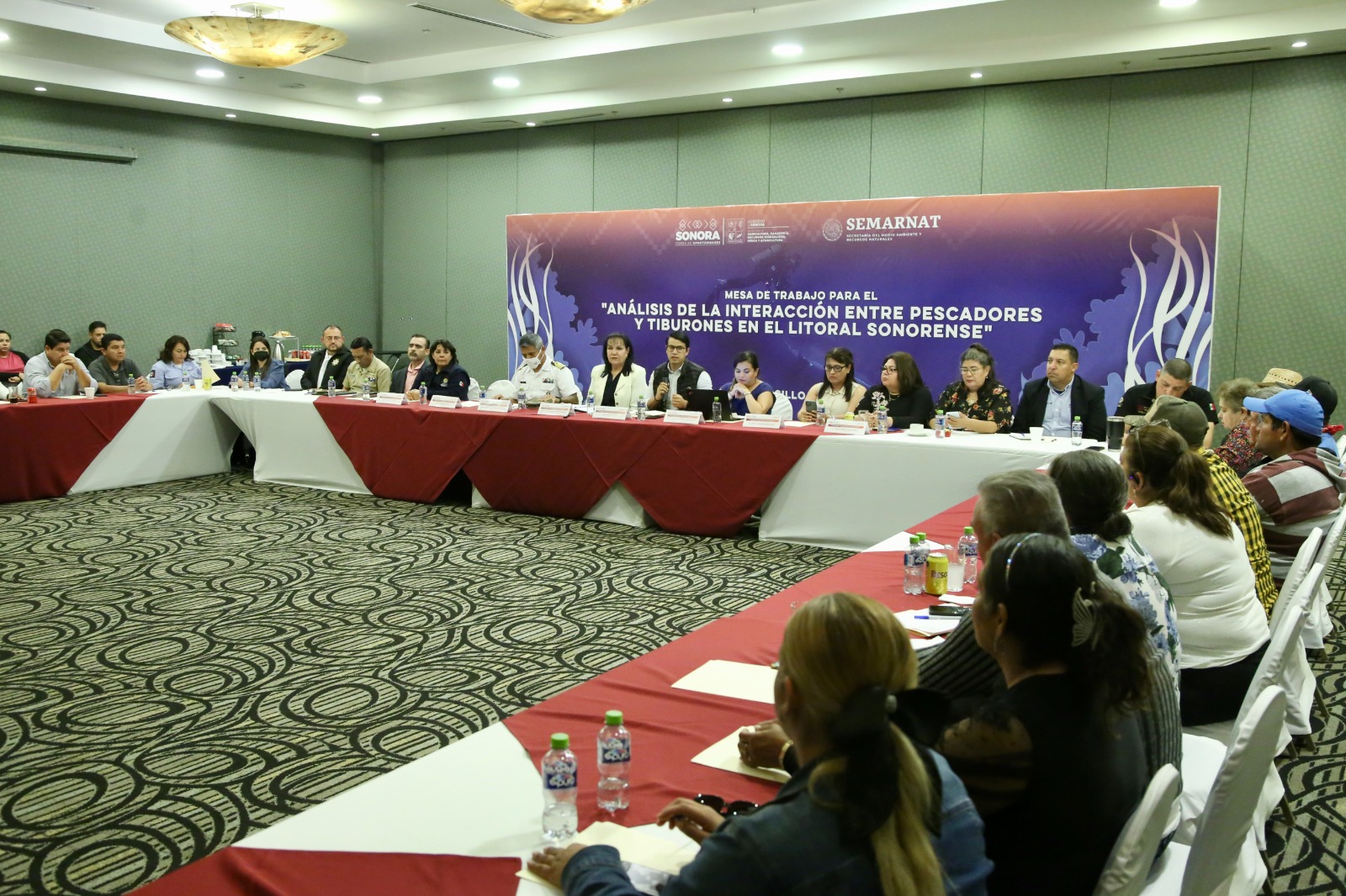 Realiza Sagarhpa mesa de trabajo sobre interacción entre pescadores y tiburones